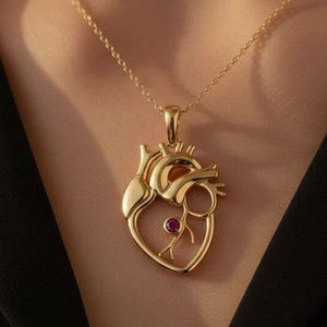Könnte beinhalten: Eine goldfarbene Halskette mit einem Anhänger in Form eines anatomischen menschlichen Herzens. Der Anhänger hat eine polierte Oberfläche und enthält einen einzelnen kleinen, runden, dunkelroten Edelstein, der in der Mitte des Herzens sitzt.