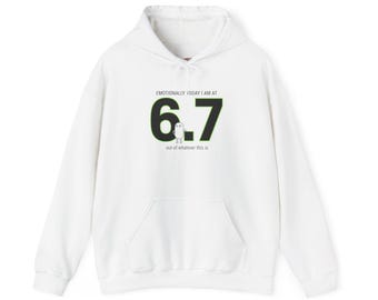 6.7 Minimal Number Hoodie | 67 shirt, absurdist humor