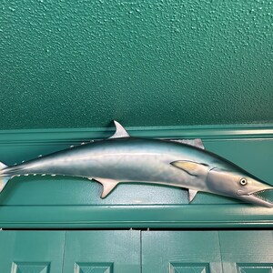May include: A mounted, silver-blue fish with a long, pointed snout and a slightly open mouth. The fish is mounted on a teal green wall.