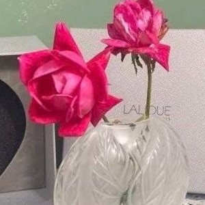 ヴィンテージ ラリック ガラス フィリカリア ピロー 花瓶 新品 フランス クリスタル ガラス サイン入り 箱付き