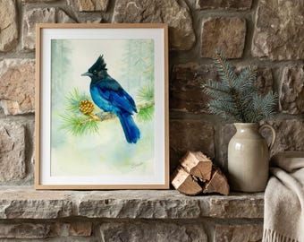 Steller's Jay Watercolor Print | Pacific Northwest Bird Art | Cabin Decor