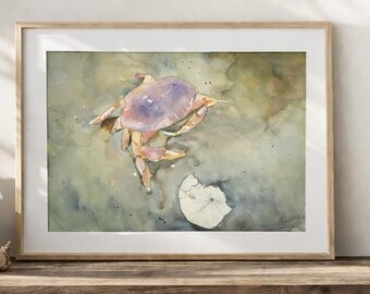 Crab and Sand Dollar Watercolor Print | Oregon Coast Beach Art, Neutral Coastal Decor