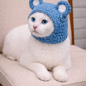 May include: A white cat with bright blue eyes wearing a blue crocheted hat with bear ears and a silver hoop earring. The cat is sitting on a beige chair, looking towards the left.