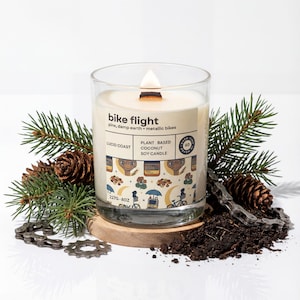 ET. Extra-Terrestrial Adventure Candle (ET) - Handmade in the USA Accurate Smell of the E.T. Ride Universal Orlando
