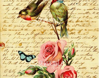 Instant Download -Single Vintage Image Birds and Letter - Large Image- Printable Digital Download - Frameable - Transfer Image -