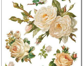 rose stickers etsy