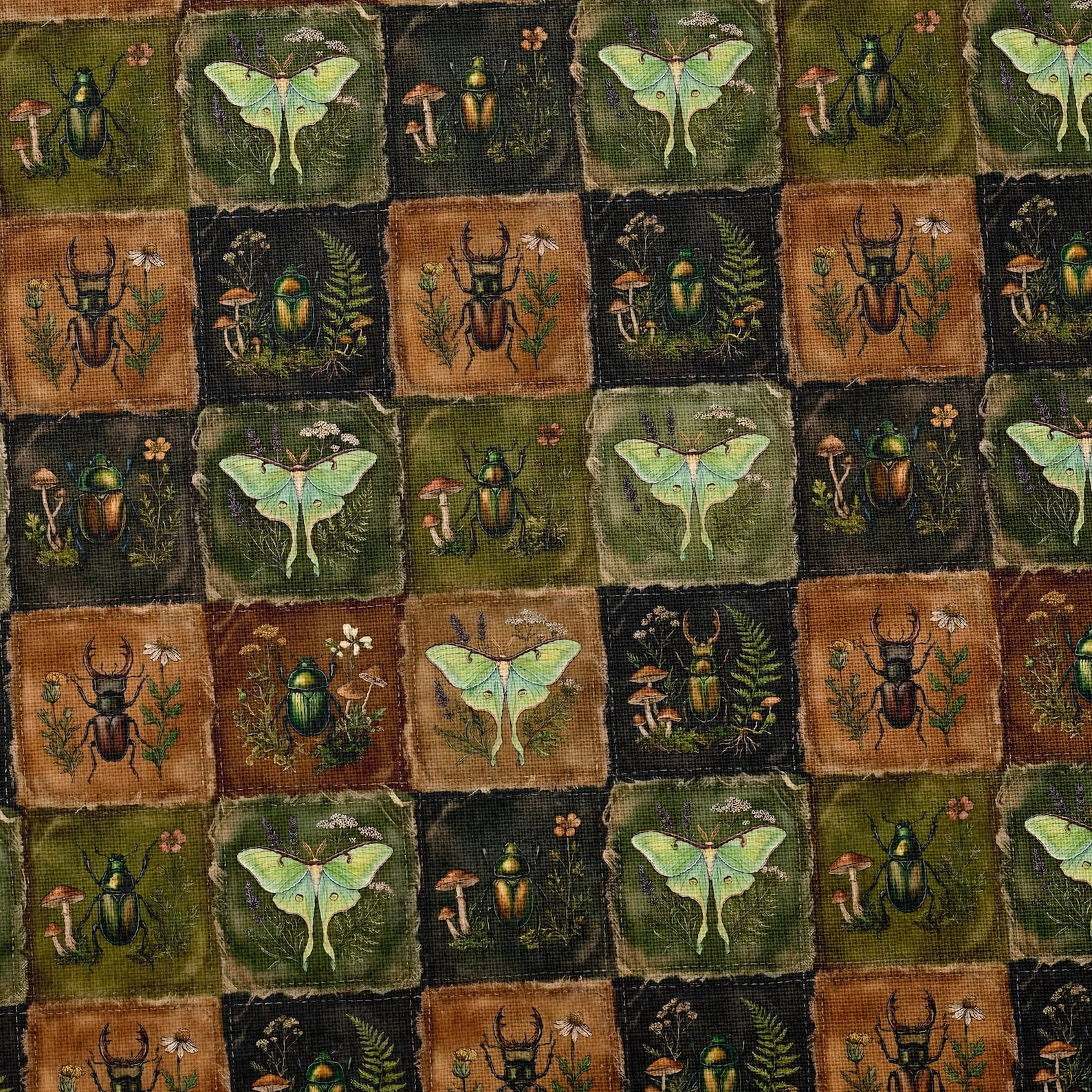 Vintage Botanical Moth Beetle Fabric Combed Pima Cotton Dark Apothecary ...