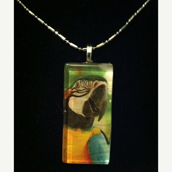 ON SALE 10% OFF Parrot Macaw Amazon