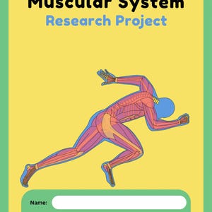 May include: A yellow educational poster titled "The Human Body Muscular System Research Project." It features a stylized illustration of a running figure with visible muscles and skeletal structure. The poster includes spaces for name, class, and date.