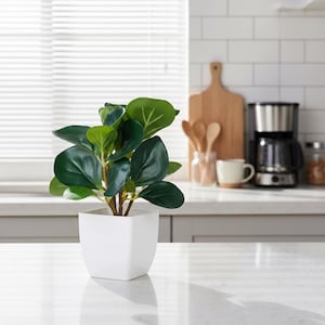 May include: A small, artificial plant with large, dark green leaves in a square, white pot. The plant is on a white countertop in a kitchen setting. The background includes a window with blinds, a wooden cutting board, and a coffee maker.