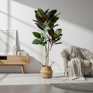 May include: A tall artificial plant with large green and brown leaves in a woven basket. The plant is placed in a well-lit room with a light-colored armchair, a wooden cabinet, and a round rug.