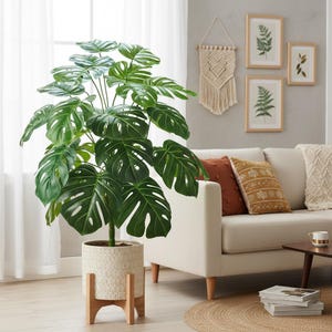 May include: A large artificial Monstera plant with bright green leaves in a textured, off-white pot on a wooden stand. The plant is in a living room setting with a cream sofa, decorative cushions, and framed botanical prints.