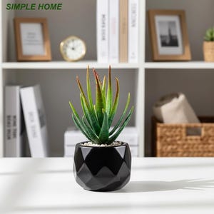 Può includere: Una pianta succulenta decorativa in un vaso di ceramica nero geometrico. La pianta ha foglie verdi e punte rosse e poggia su una superficie bianca. Il vaso è riempito con piccoli ciottoli bianchi. Il testo "SIMPLE HOME" è visibile in alto a sinistra.