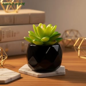 May include: A small, green succulent plant in a black, geometric-patterned ceramic pot. The pot sits on a square, marble coaster. The image includes the text "SIMPLE HOME" in the top left corner. Decorative gold geometric shapes and books are in the background.