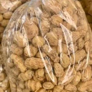 May include: A clear plastic bag filled with tiger nuts. The nuts are beige and have a wrinkled texture. The bag is tied at the top with a clear twist tie. The image is taken from a slightly elevated angle.
