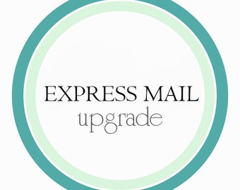 DOMESTIC EXPRESS MAIL