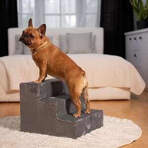 Può includere: Un bulldog francese marrone con un collare a catena dorata è in piedi su un gradino grigio per animali domestici. Il gradino è posto su un tappeto rotondo bianco e strutturato. Lo sfondo include un letto con un piumino bianco.