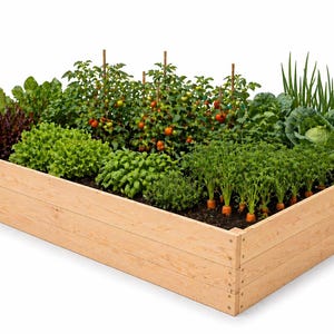 Peut inclure: Un bac de jardinage rectangulaire en bois rempli de divers légumes et herbes aromatiques. Le jardin comprend des tomates, des carottes, de la laitue, du chou et des herbes. Le cadre en bois est brun clair.