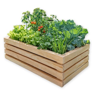 Peut inclure: Un bac de jardinage surélevé rectangulaire en bois, rempli de diverses plantes. Le bac est fait de bois clair et présente des planches horizontales superposées. Des légumes-feuilles verts, des plants de tomates avec des tomates rouges et d'autres herbes poussent à l'intérieur.