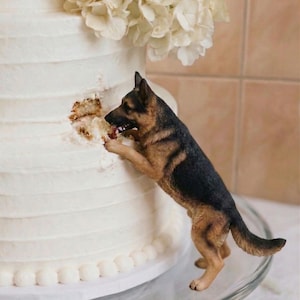 May include: A white tiered cake with a floral arrangement on top. A figurine of a German Shepherd dog is playfully biting into the cake. The dog is brown and black, adding a whimsical touch to the dessert.