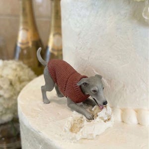 Könnte beinhalten: Graue Hunde-Figur mit rotem Pullover, die Zuckerguss von einer weißen, mehrstöckigen Torte isst. Die Torte ist mit weißem Zuckerguss verziert und mit weißen Rosen belegt. Champagnerflaschen sind im Hintergrund.