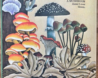 Ilustración vintage de setas de 8x8 para enmarcar, papel para libros infantiles de botánica.