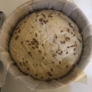 Guía Masa Madre desde Cero | Cómo Hacer y Activar Masa Madre Viva Sourdough Starter Guide PDF Fermentación Natural Pan Casero bread starter