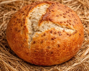 Masa Madre de Centeno Deshidratada 10 g | Starter Natural para Pan Integral | Fermenta Incluye PDF + Vídeo Paso a Paso | Fermentación Lenta