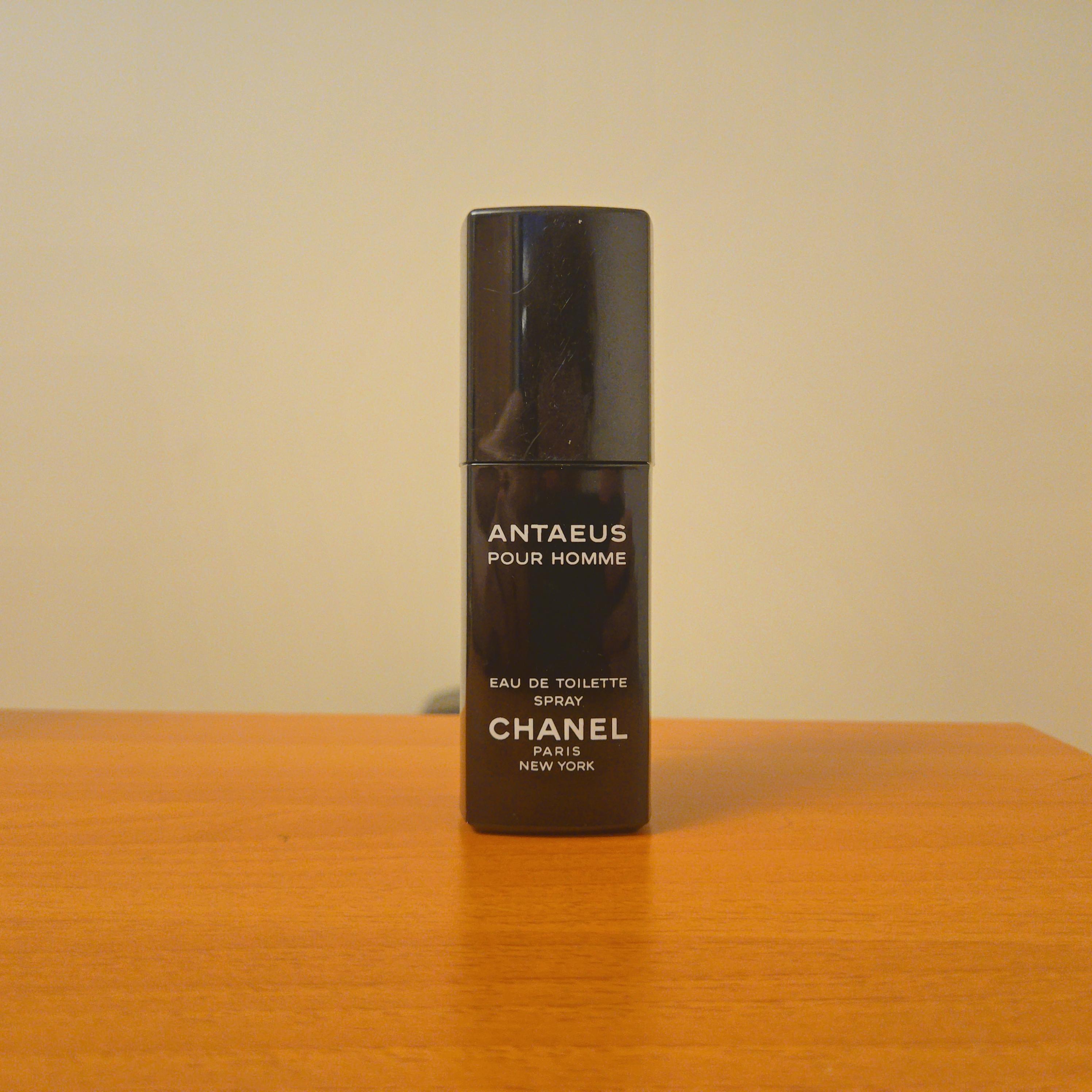 Chanel Antaeus - Etsy