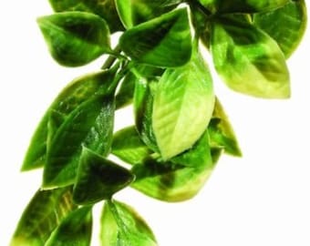 Exo Terra Künstliche Terrarienpflanze - Kleine Mandarinen-Imitat zum Aufhängen