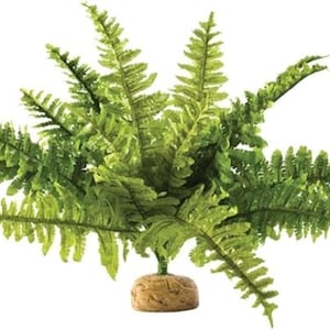 Pode incluir: Uma vibrante planta de samambaia artificial verde com m&uacute;ltiplas frondes que se estendem para fora. A samambaia &eacute; montada em uma pequena base texturizada marrom clara. As folhas da planta t&ecirc;m uma apar&ecirc;ncia detalhada e realista.