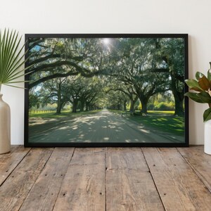 Savannah Oak Alley Framed Print - Southern Lowcountry Wall Art, Spanish Moss Oak Canopy Photography, Ready to Hang