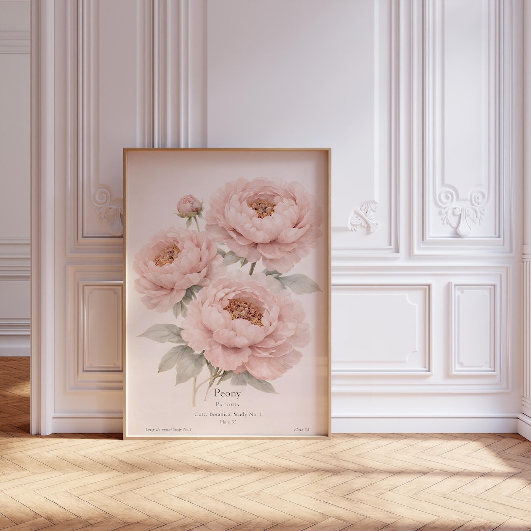 Vintage Peony Botanical Print, Blush Pink Floral Wall Art (digital ...