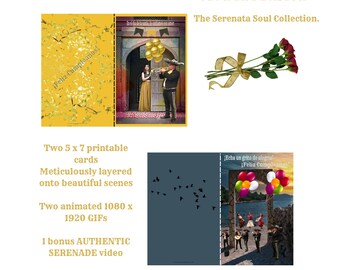 Seranation varietà di animazione, pacchetto regalo