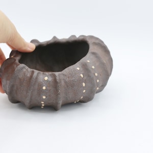 sea urchin planter, planter pot indoor,planter drainage, ceramic planter pot feet,succulent planter, organic brown planter, shallow planter