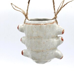 Vaso suspenso em formato de rosto sorridente: vaso de cerâmica feito à mão para insetos