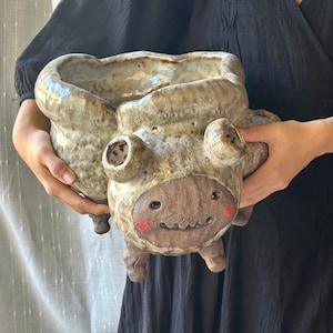 Puede incluir: Una maceta de cerámica con forma de animal de dibujos animados con esmalte marrón, blanco y gris. La maceta tiene una parte superior ancha y abierta y dos pequeños agujeros en los lados. El animal tiene una cara marrón con una amplia sonrisa y dos mejillas rojas.