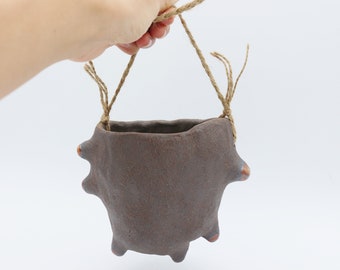May include: A brown ceramic hanging planter with a rough, textured surface and a rope handle. The planter has a rounded, irregular shape with small bumps around the rim.