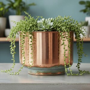 May include: A copper-coloured planter with a green and blue base, filled with trailing green plants and a succulent. Other potted plants are visible in the background, creating a natural, indoor garden theme.