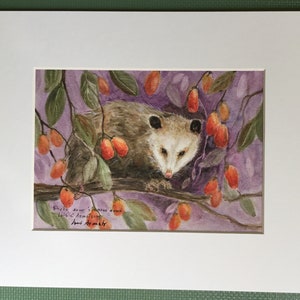 Opossum Print - &quot;Shake some &#39;Simmons Down&quot; 5 x 7 inch print matted to an 8 x 10 inches and ready to hang.