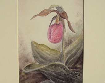 Pink lady-slipper, 5 x 7 inch print, matted in ivory mat, matted size is 8 x 10 inch and ready to frame.