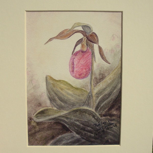 Pink lady-slipper, 5 x 7 inch print, matted in ivory mat, matted size is 8 x 10 inch and ready to frame.