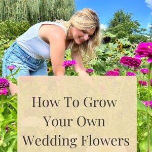 Op de afbeelding: Een vrouw verzorgt een bloementuin met felroze bloemen onder een helderblauwe hemel. De afbeelding bevat de tekst "How To Grow Your Own Wedding Flowers" op een beige achtergrond.