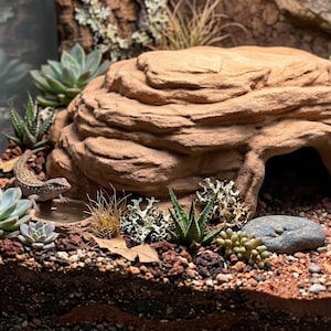 Lizard Hide Cave | Reptile Hide | 3D Printed Terrarium Decor | Gecko Cave | Bearded Dragon Hide | Bioactive Reptile Habitat