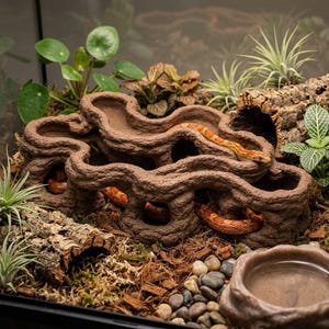 May include: A brown, textured, multi-level climbing structure for reptiles with winding paths and hollow tunnels. An orange and white patterned corn snake rests within the structure, surrounded by green plants, bark pieces, and a small water bowl.