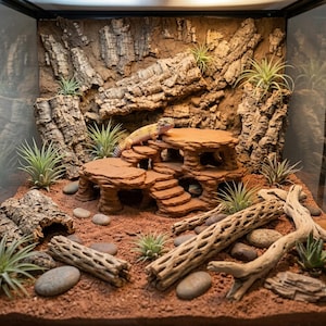 May include: A glass terrarium enclosure featuring a yellow and brown leopard gecko perched on a multi-level terracotta-colored rock structure. The habitat includes cork bark wall panels, scattered smooth gray stones, cholla wood, and air plants.