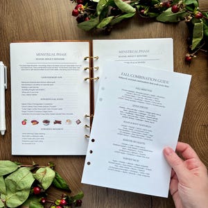 Paquete digital de otoño / Planificador de sincronización del ciclo y guía de preparación de comidas según las hormonas / Descarga en PDF imprimible imagen 3