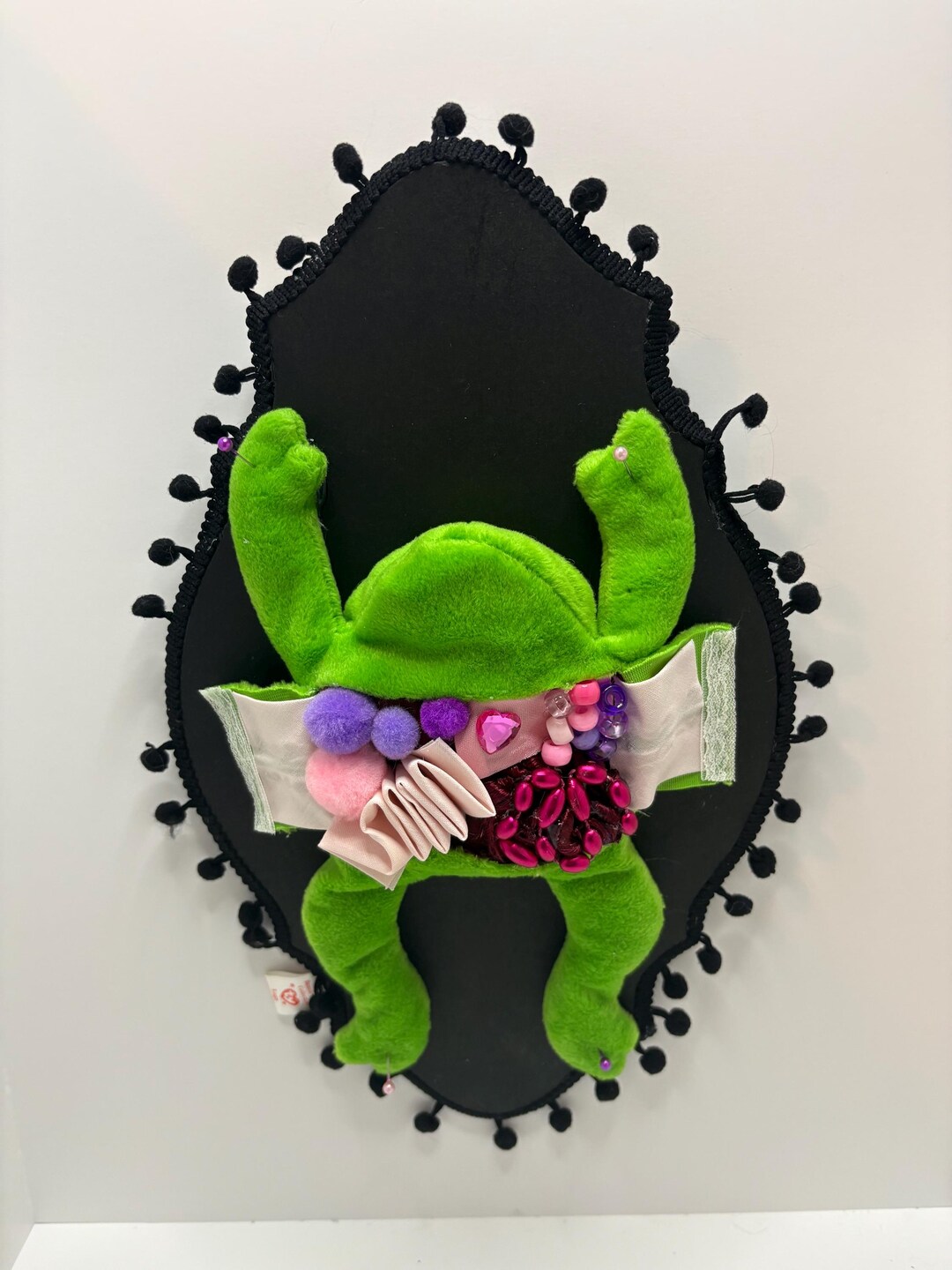Hand Made Frog Dissection Plush Taxidermy - Etsy