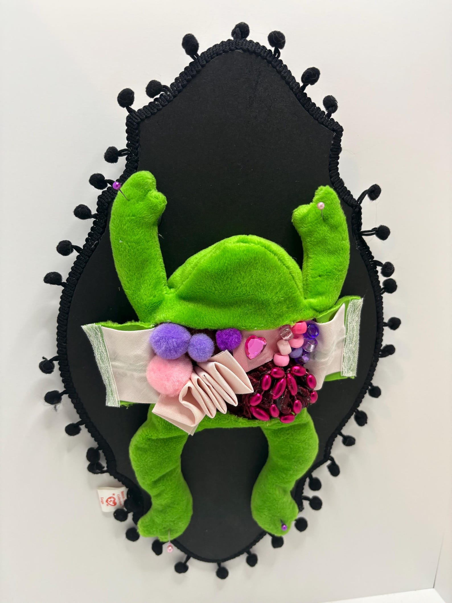 Hand Made Frog Dissection Plush Taxidermy - Etsy