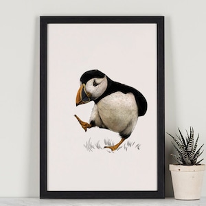 Cute Puffin Giclée Print | British Wildlife Animal Print | Portrait | Atlantic Puffin Nature Wall Art